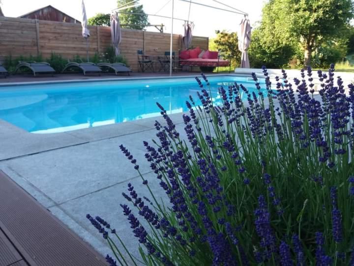 Chambres D Hotes ,Hotel ,Secret D'Une Nuit A Vicq Pres De Onnaing,Avec Piscine מראה חיצוני תמונה