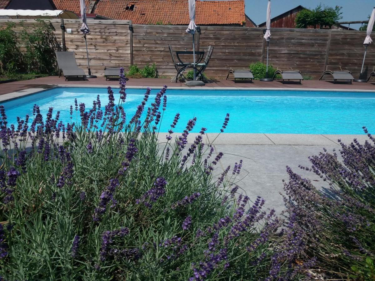 Chambres D Hotes ,Hotel ,Secret D'Une Nuit A Vicq Pres De Onnaing,Avec Piscine מראה חיצוני תמונה